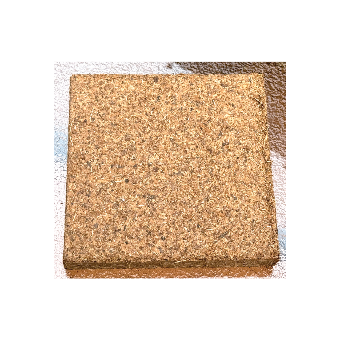 Complete Microgreens Kit